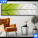 Leuchtbild Gruenes Blatt Panorama Produktvorschau mit dem Bild Grünes Blatt im Format Panorama.