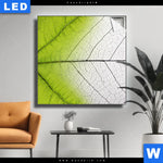 Leuchtbild Gruenes Blatt Quadrat Produktvorschau mit dem Bild Grünes Blatt im Format Quadrat.