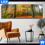 Leuchtbild Herbstfarben Im Nebligen Wald Panorama Produktvorschau mit dem Bild Herbstfarben im nebligen Wald im Format Panorama.