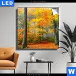 Leuchtbild Herbstfarben Im Nebligen Wald Quadrat Produktvorschau mit dem Bild Herbstfarben im nebligen Wald im Format Quadrat.