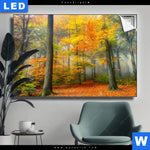 Leuchtbild Herbstfarben Im Nebligen Wald Querformat Produktvorschau mit dem Bild Herbstfarben im nebligen Wald im Format Querformat.