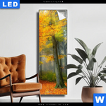 Leuchtbild Herbstfarben Im Nebligen Wald Schmal Produktvorschau mit dem Bild Herbstfarben im nebligen Wald im Format Schmal.