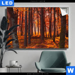 Leuchtbild Herbstwald Querformat Produktvorschau mit dem Bild Herbstwald im Format Querformat.