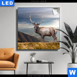 Leuchtbild Hirsch In Der Herbstzeit Quadrat Produktvorschau mit dem Bild Hirsch in der Herbstzeit im Format Quadrat.