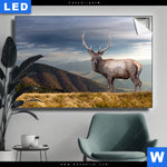 Leuchtbild Hirsch In Der Herbstzeit Querformat Produktvorschau mit dem Bild Hirsch in der Herbstzeit im Format Querformat.