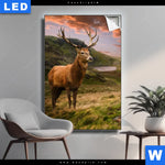 Leuchtbild Hirsch In Gebirgslandschaft Hochformat Produktvorschau mit dem Bild Hirsch in Gebirgslandschaft im Format Hochformat.