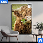 Leuchtbild Hochland Rind Mit Nasenring Hochformat Produktvorschau mit dem Bild Hochland-Rind mit Nasenring im Format Hochformat.