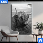 Leuchtbild Hochland Rind Schwarz Weiss No 2 Hochformat Produktvorschau mit dem Bild Hochland-Rind Schwarz-Weiß No. 2 im Format Hochformat.