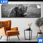 Leuchtbild Hochland Rind Schwarz Weiss No 2 Panorama Produktvorschau mit dem Bild Hochland-Rind Schwarz-Weiß No. 2 im Format Panorama.