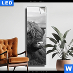 Leuchtbild Hochland Rind Schwarz Weiss No 2 Schmal Produktvorschau mit dem Bild Hochland-Rind Schwarz-Weiß No. 2 im Format Schmal.