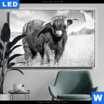 Leuchtbild Hochlandkuh Auf Einer Wiese Querformat Produktvorschau mit dem Bild Hochlandkuh auf einer Wiese im Format Querformat.