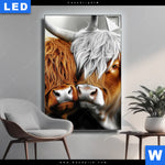 Leuchtbild Hochlandrinder Harmonie Der Natur Hochformat Produktvorschau mit dem Bild Hochlandrinder - Harmonie der Natur im Format Hochformat.