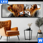 Leuchtbild Hochlandrinder Harmonie Der Natur Panorama Produktvorschau mit dem Bild Hochlandrinder - Harmonie der Natur im Format Panorama.