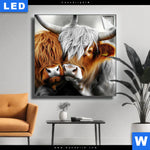 Leuchtbild Hochlandrinder Harmonie Der Natur Quadrat Produktvorschau mit dem Bild Hochlandrinder - Harmonie der Natur im Format Quadrat.