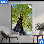 Leuchtbild Hoher Baum Hochformat Produktvorschau mit dem Bild Hoher Baum im Format Hochformat.
