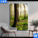 Leuchtbild Im Tiefen Wald Hochformat Produktvorschau mit dem Bild Im tiefen Wald im Format Hochformat.