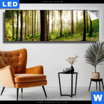 Leuchtbild Im Tiefen Wald Panorama Produktvorschau mit dem Bild Im tiefen Wald im Format Panorama.