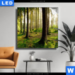 Leuchtbild Im Tiefen Wald Quadrat Produktvorschau mit dem Bild Im tiefen Wald im Format Quadrat.