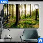 Leuchtbild Im Tiefen Wald Querformat Produktvorschau mit dem Bild Im tiefen Wald im Format Querformat.