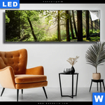 Leuchtbild Im Wald Panorama Produktvorschau mit dem Bild Im Wald im Format Panorama.