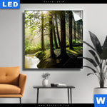 Leuchtbild Im Wald Quadrat Produktvorschau mit dem Bild Im Wald im Format Quadrat.