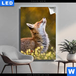 Leuchtbild Junger Fuchs Hochformat Produktvorschau mit dem Bild Junger Fuchs im Format Hochformat.