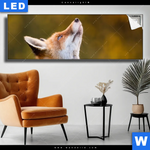 Leuchtbild Junger Fuchs Panorama Produktvorschau mit dem Bild Junger Fuchs im Format Panorama.