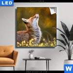 Leuchtbild Junger Fuchs Quadrat Produktvorschau mit dem Bild Junger Fuchs im Format Quadrat.