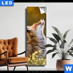 Leuchtbild Junger Fuchs Schmal Produktvorschau mit dem Bild Junger Fuchs im Format Schmal.