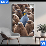 Leuchtbild Koenigspinguine Hochformat Produktvorschau mit dem Bild Königspinguine im Format Hochformat.