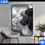 Leuchtbild Kontrast Loewenkraft Hochformat Produktvorschau mit dem Bild Kontrast Löwenkraft im Format Hochformat.