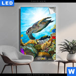 Leuchtbild Korallen Fische Hochformat Produktvorschau mit dem Bild Korallen & Fische im Format Hochformat.