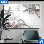 Leuchtbild Kuestenfeeling Muschel Querformat Produktvorschau mit dem Bild Küstenfeeling - Muschel im Format Querformat.