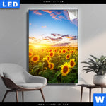 Leuchtbild Leuchtend Gelbe Sonnenblumen Am Abend Hochformat Produktvorschau mit dem Bild Leuchtend gelbe Sonnenblumen am Abend im Format Hochformat.