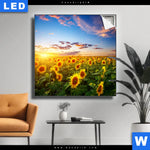 Leuchtbild Leuchtend Gelbe Sonnenblumen Am Abend Quadrat Produktvorschau mit dem Bild Leuchtend gelbe Sonnenblumen am Abend im Format Quadrat.