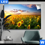 Leuchtbild Leuchtend Gelbe Sonnenblumen Am Abend Querformat Produktvorschau mit dem Bild Leuchtend gelbe Sonnenblumen am Abend im Format Querformat.