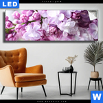 Leuchtbild Lila Fliederblueten Panorama Produktvorschau mit dem Bild Lila Fliederblüten im Format Panorama.