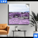 Leuchtbild Lila Savanne Kopie Quadrat Produktvorschau mit dem Bild Lila Savanne im Format Quadrat.