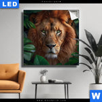 Leuchtbild Loewe Im Gruenen Regenwald Quadrat Produktvorschau mit dem Bild Löwe im grünen Regenwald im Format Quadrat.