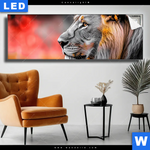 Leuchtbild Loewe Savannenzauber In Afrika Panorama Produktvorschau mit dem Bild Löwe - Savannenzauber in Afrika im Format Panorama.