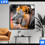 Leuchtbild Loewe Savannenzauber In Afrika Quadrat Produktvorschau mit dem Bild Löwe - Savannenzauber in Afrika im Format Quadrat.