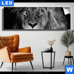 Leuchtbild Loewe Schwarzweiss Panorama Produktvorschau mit dem Bild Löwe Schwarzweiß im Format Panorama.