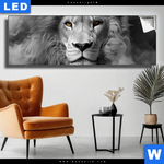 Leuchtbild Loewengesicht In Rauch Panorama Produktvorschau mit dem Bild Löwengesicht in Rauch im Format Panorama.