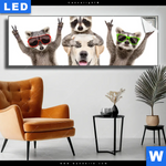 Leuchtbild Lustige Waschbaeren Mit Hund Panorama Produktvorschau mit dem Bild Lustige Waschbären mit Hund im Format Panorama.