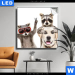 Leuchtbild Lustige Waschbaeren Mit Hund Quadrat Produktvorschau mit dem Bild Lustige Waschbären mit Hund im Format Quadrat.