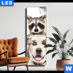 Leuchtbild Lustige Waschbaeren Mit Hund Schmal Produktvorschau mit dem Bild Lustige Waschbären mit Hund im Format Schmal.