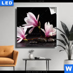 Leuchtbild Magnolien Zen Steine Quadrat Produktvorschau mit dem Bild Magnolien & Zen Steine im Format Quadrat.