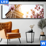 Leuchtbild Mangnolien In Paris Panorama Produktvorschau mit dem Bild Mangnolien in Paris im Format Panorama.