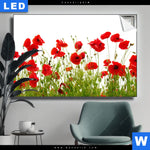 Leuchtbild Mohnfeld Querformat Produktvorschau mit dem Bild Mohnfeld im Format Querformat.