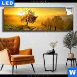 Leuchtbild Morgenspaziergang Panorama Produktvorschau mit dem Bild Morgenspaziergang im Format Panorama.